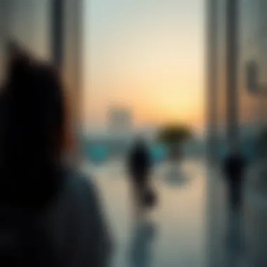 Exploring Volunteering Opportunities in Dubai Summary