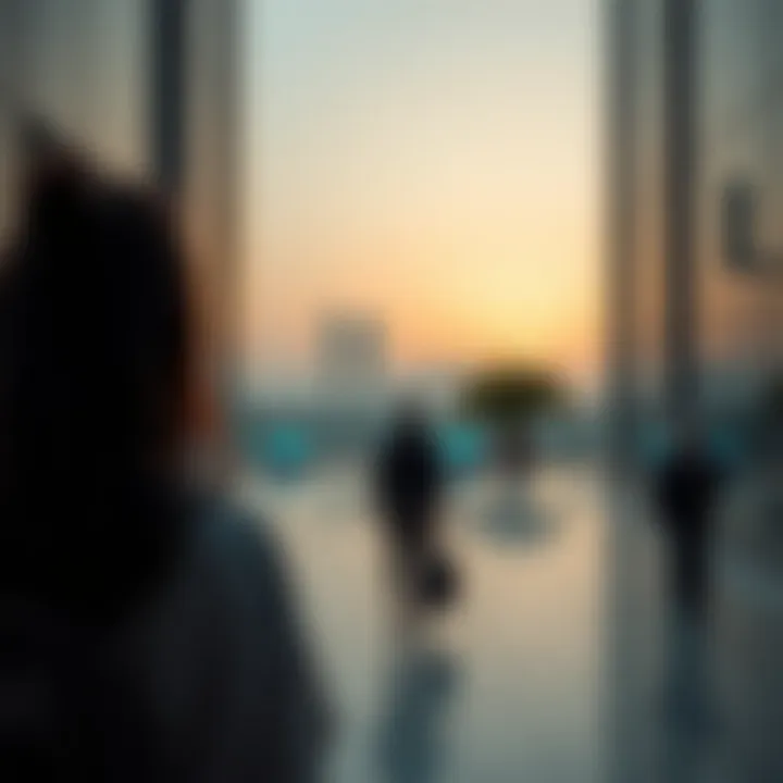 Exploring Volunteering Opportunities in Dubai Summary