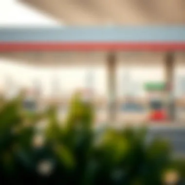 Factors Influencing Fuel Prices in the UAE Factors affecting fuel prices in the UAE