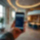 Checking visa status on a mobile device