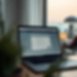 Checking visa status on a government website