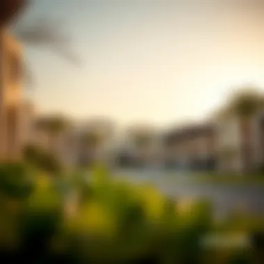 Peaceful Luxury Villa Neighborhood in Dubai Tranquil neighborhood with luxury villas in Dubai