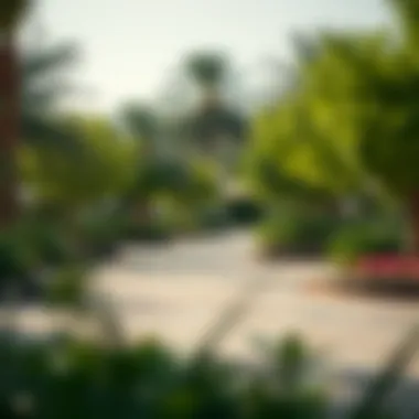 Vibrant community park in Madinat Badr filled with greenery