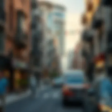 Cultural Tapestry of Mohammed Bin Zayed Street Cultural influences along Mohammed Bin Zayed Street