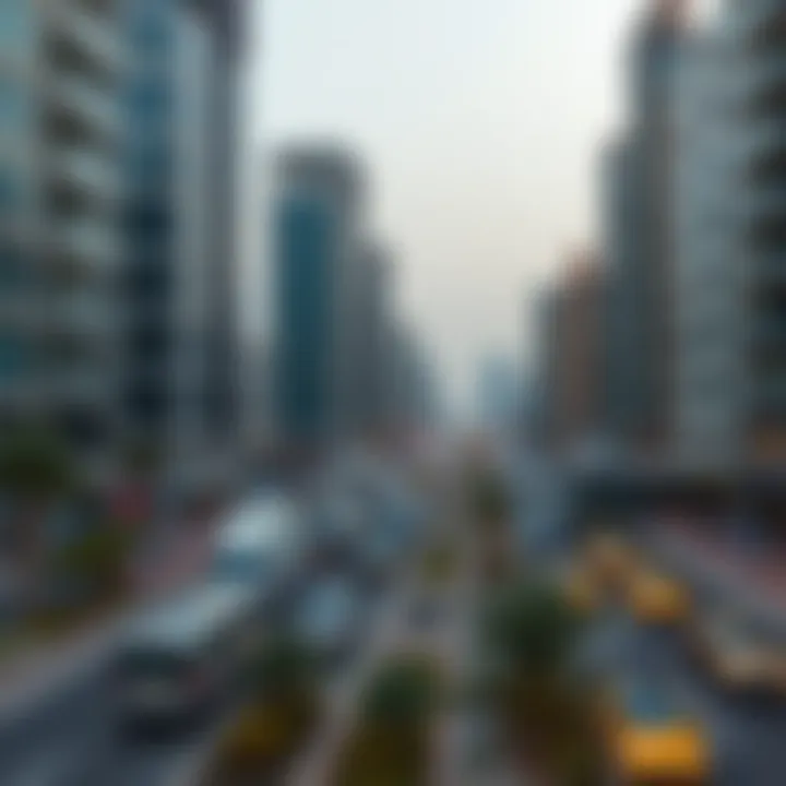 Economic Landscape of Mohammed Bin Zayed Street Economic development opportunities near Mohammed Bin Zayed Street