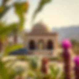 Mushrif National Park: An In-Depth Exploration Introduction