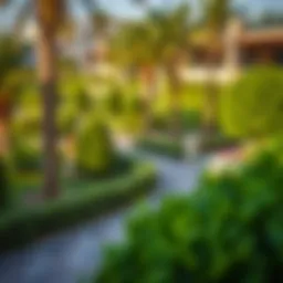 Scenic view of Nad Al Sheba Gardens showcasing lush greenery