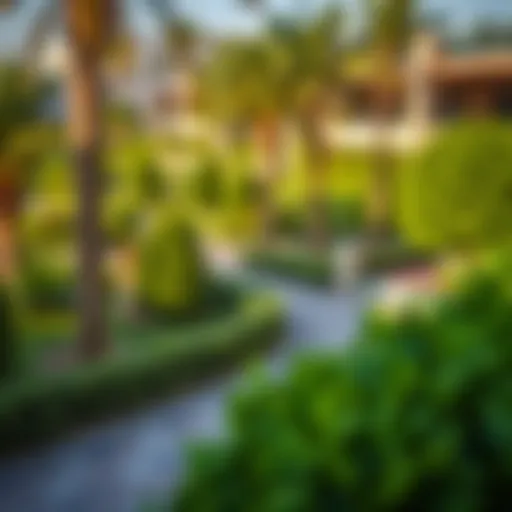 Scenic view of Nad Al Sheba Gardens showcasing lush greenery