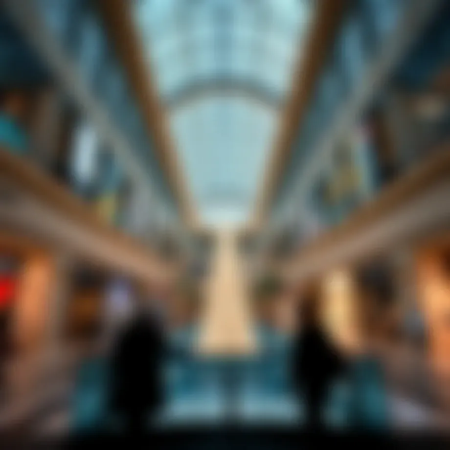 Navigating the Dubai Mall: An In-depth Guide Introduction