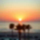 Sunset view over Dubai's Open Beach with silhouettes of palm trees