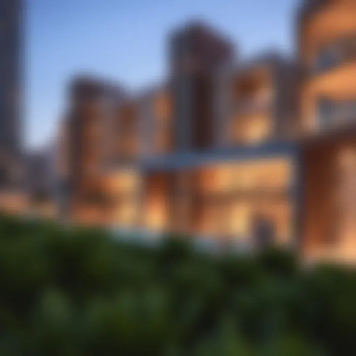 Rukan Reportage: A Deep Dive into Dubai's Emerging Property Landscape Summary