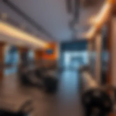 The Best Gyms in Dubai: A Comprehensive Guide Summary The Best Gyms in Dubai: A Comprehensive Guide Summary