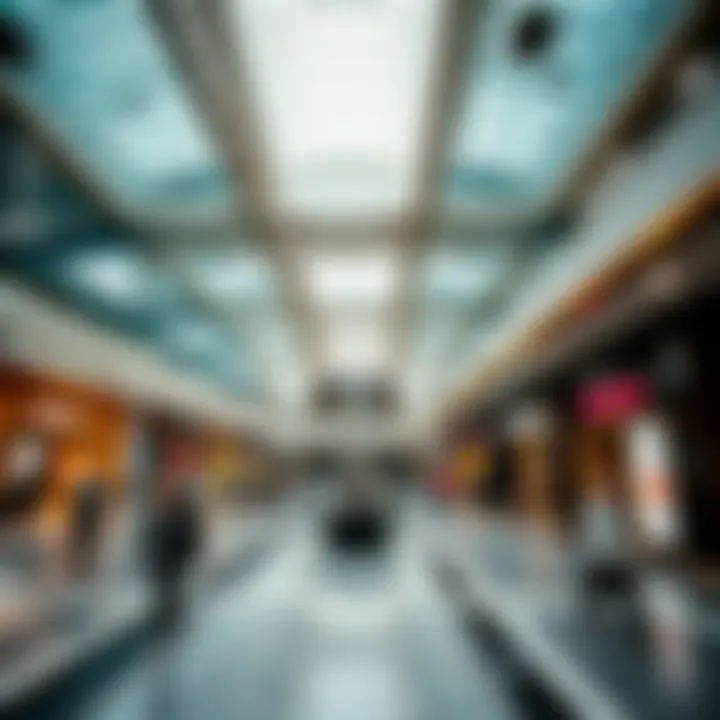 Luxury Shopping Experience in The Dubai Mall Interior view highlighting the luxury shopping zones