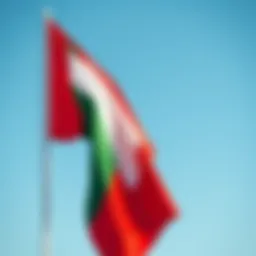 The UAE flag fluttering against a clear blue sky