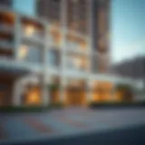 Understanding DNRD Visa Status: Implications and Insights Introduction
