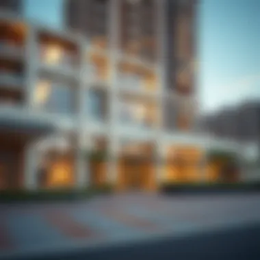 Understanding DNRD Visa Status: Implications and Insights Introduction Understanding DNRD Visa Status: Implications and Insights Introduction