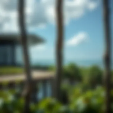 Notable Understanding Mangroves: Their Role and Importance