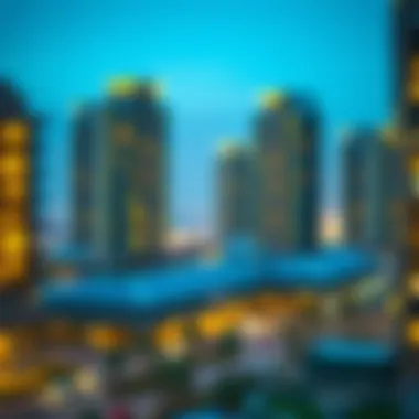 Energy Consumption Patterns in Dubai Infographic on energy consumption patterns in Dubai