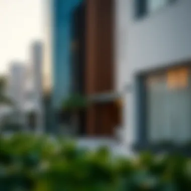 Impact of visa status on property investments