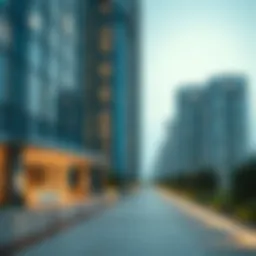 Zaya Hameni Developer: A Closer Look at a Key Player in Dubai's Real Estate Market Introduction