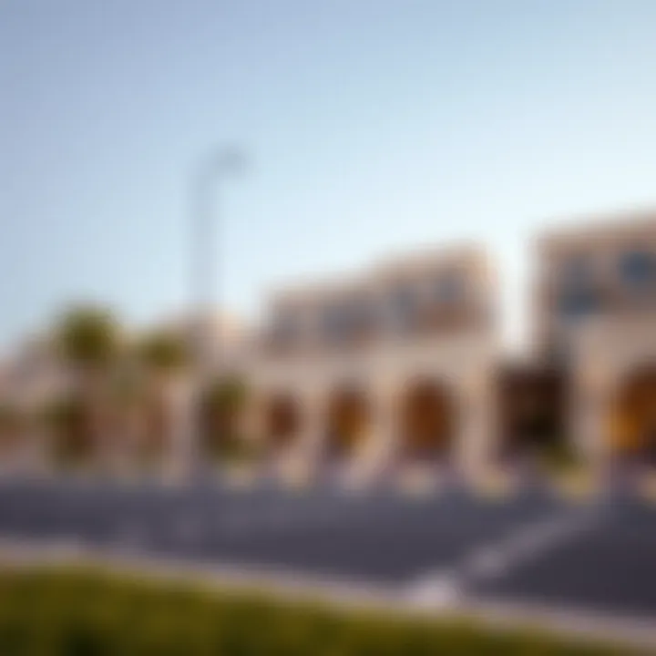 Notable Zaya Hameni Developer: A Closer Look at a Key Player in Dubai's Real Estate Market Notable Zaya Hameni Developer: A Closer Look at a Key Player in Dubai's Real Estate Market