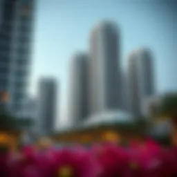 Modern residential buildings reflecting Dubai's architectural progress